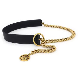 TITAN BELT