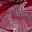 RED CONTOUR PRINT